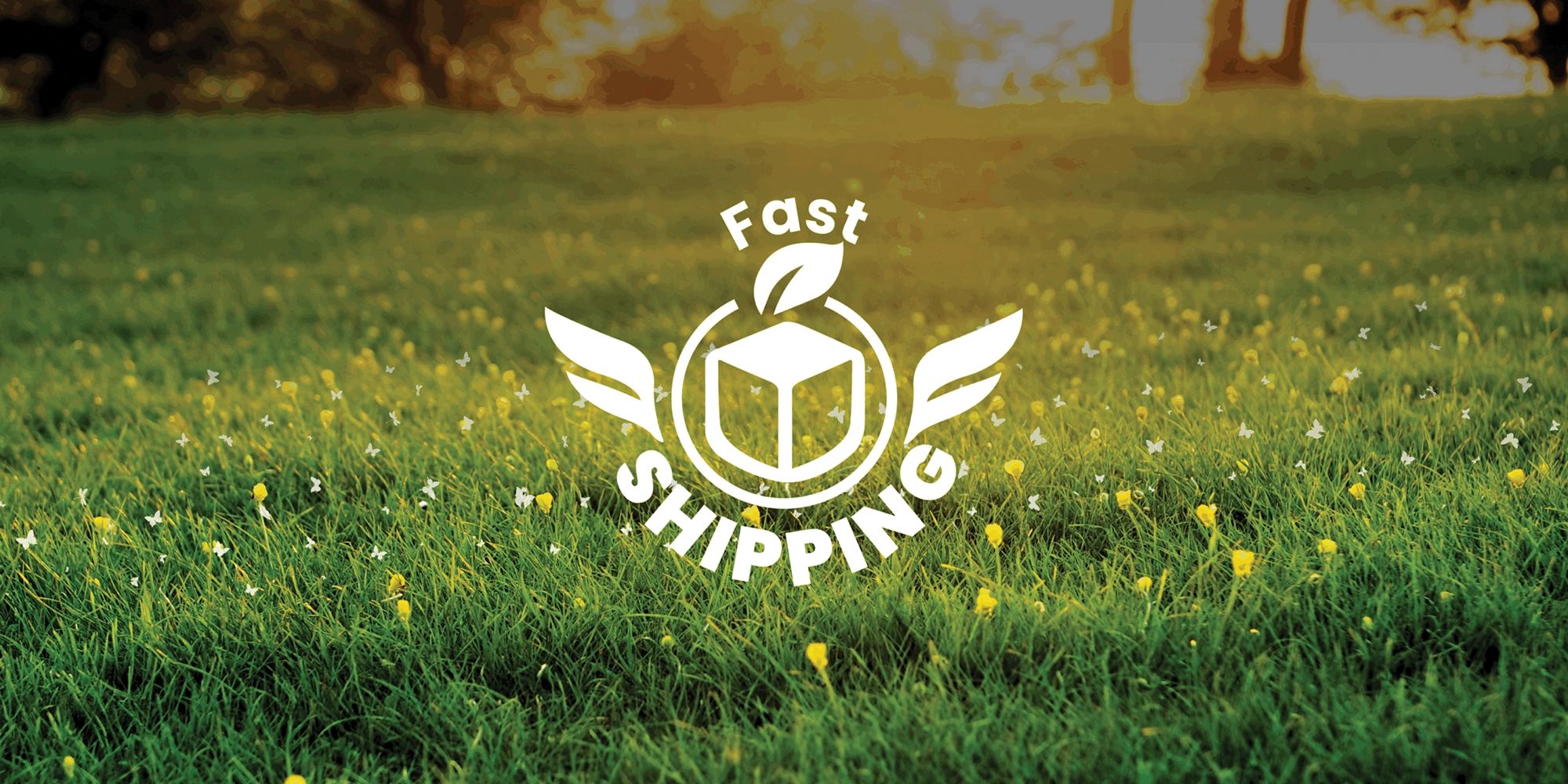 Fast Shipping Banner-2